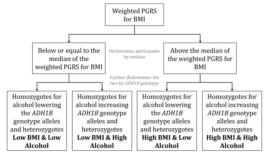Factorial Mendelian randomization. Adapted with permission from Carter et al.  In this example, factorial MR is used to investigate the combined effects of BMI and alcohol on liver disease and liver disease biomarkers. Disease and biomarker levels are compared across the four categories of genetically instrumented combinations of low and high BMI and alcohol levels. Low and high BMI were defined as below or equal to and above the median of a weighted polygenic risk score (PRS) for BMI, respectively. For low and high alcohol categories, a single candidate genetic instrumental variable (ADH1B) was used as an instrument and homozygotes for the allele associated with higher alcohol consumption (high) were compared to those who were heterozygotes or homozygotes for the allele associated with lower alcohol consumption.